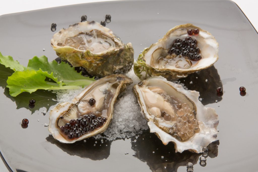 Kj&ouml;tb&uacute;&eth;in | S&eacute;rfr&aelig;&eth;ingar &iacute; nautakj&ouml;ti | Veislu&thorn;j&oacute;nusta | Grens&aacute;svegi 48